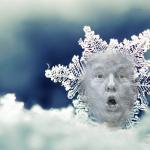Trump Snowflake