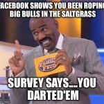 Survey says you're a Cunt! | FACEBOOK SHOWS YOU BEEN ROPING BIG BULLS IN THE SALTGRASS; SURVEY SAYS....YOU DARTED'EM | image tagged in survey says you're a cunt | made w/ Imgflip meme maker