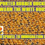 Rubber Lives Matter | IMPORTED RUBBER DUCKIES SWARM THE WHITE HOUSE; IN RESPONSE TO IMMIGRATION BAN | image tagged in rubber ducks,trump immigration policy,breaking news,funny memes | made w/ Imgflip meme maker
