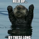 Stick em up otter | I'M ALWAYS BEING HELD UP... BY THESE LONG THREADS.. | image tagged in stick em up otter | made w/ Imgflip meme maker