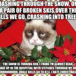 my parody training is complete | DASHING THROUGH THE SNOW, ON A PAIR OF BROKEN SKIS,OVER THE HILLS WE GO, CRASHING INTO TREES. THE SNOW IS TURNING RED, I THINK I'M ALMOST DEAD, I WAKE UP IN THE HOSPITIAL WITH STITCHES THROUGH MY HEAD. OHHHHHHHHHHH, JINGLE BELLS GO TO H*LL, I HATE CHRISTMAS SEE, | image tagged in grumpy cat christmas | made w/ Imgflip meme maker