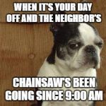 sideeye dog | WHEN IT'S YOUR DAY OFF AND THE NEIGHBOR'S; CHAINSAW'S BEEN GOING SINCE 9:00 AM | image tagged in sideeye dog | made w/ Imgflip meme maker