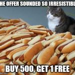 A bargain | THE OFFER SOUNDED SO IRRESISTIBLE; BUY 500, GET 1 FREE | image tagged in too many hot dogs | made w/ Imgflip meme maker