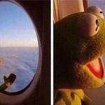 Kermit in plane