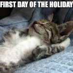 sleeping cat | FIRST DAY OF THE HOLIDAY | image tagged in sleeping cat | made w/ Imgflip meme maker
