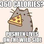 PUSHEEN WEEKEND. That I made up. ;( | 360 CALORIES? PUSHEEN LIVES ON THE WILD SIDE | image tagged in pusheen eating pizza | made w/ Imgflip meme maker