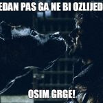 Ramsay Bolton dogs | NIJEDAN PAS GA NE BI OZLIJEDIO... OSIM GRGE! | image tagged in ramsay bolton dogs | made w/ Imgflip meme maker