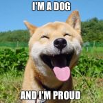 Smiling shiba | I'M A DOG; AND I'M PROUD | image tagged in smiling shiba | made w/ Imgflip meme maker