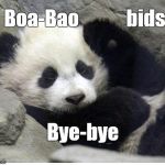 Trump's abominable new immigration policy rips this 3 y.o. Panda from his mother & DC home to deport him to China.  | bids; Boa-Bao; Bye-bye | image tagged in bao bao,panda,trump,illegal immigration,trump immigration policy,scandalous | made w/ Imgflip meme maker