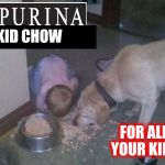 This should stop the fussy eater problem | KID CHOW; FOR ALL YOUR KIDS | image tagged in dog food kid | made w/ Imgflip meme maker