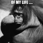 Bored monkey | I'VE KNOWN TODAY IS MY BIRTHDAY MOST OF MY LIFE ..... I DON'T NEED YOU TO REMIND ME. | image tagged in bored monkey | made w/ Imgflip meme maker