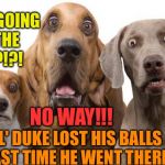 shocked dogs | WE'RE GOING TO THE VET?!?! NO WAY!!! OL' DUKE LOST HIS BALLS LAST TIME HE WENT THERE | image tagged in shocked dogs | made w/ Imgflip meme maker