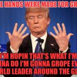 Trump can count. | THESE HANDS WERE MADE FOR GROPIN; I'M HOPIN THAT'S WHAT I'M GONNA DO I'M GONNA GROPE EVERY WORLD LEADER AROUND THE GLOBE | image tagged in trump can count | made w/ Imgflip meme maker