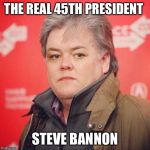 The man running our country | THE REAL 45TH PRESIDENT; STEVE BANNON | image tagged in steve bannon,funny,memes,trump,animals,truth | made w/ Imgflip meme maker