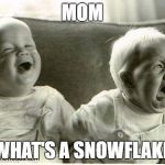 babys | MOM; WHAT'S A SNOWFLAKE | image tagged in babys | made w/ Imgflip meme maker