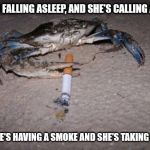 crab | NOW I'M FALLING ASLEEP, AND SHE'S CALLING A CRAB; WHILE HE'S HAVING A SMOKE
AND SHE'S TAKING A DRAG | image tagged in crab | made w/ Imgflip meme maker