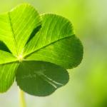 Lucky Luck clover