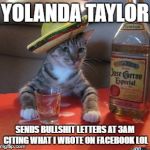 Mexican Cat | YOLANDA TAYLOR; SENDS BULLSHIT LETTERS AT 3AM CITING WHAT I WROTE ON FACEBOOK LOL | image tagged in mexican cat | made w/ Imgflip meme maker