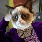 Grumpy Cat Wonka