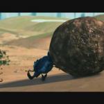 Dung beetle