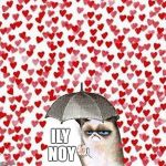 grumpy valentine | ILY NOY | image tagged in grumpy valentine | made w/ Imgflip meme maker