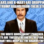 anchorman | SEARS AND K-MART ARE DROPPING THE TRUMP BRAND FROM THEIR STORES; BUT THE WHITE HOUSE HASN'T PANICKED.  ALL REPORTS ARE THAT BY THE END OF THE YEAR, SEARS AND K-MART WILL DROP ALL THE BRANDS THEY CARRY | image tagged in anchorman | made w/ Imgflip meme maker