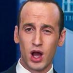 Stephen miller meme