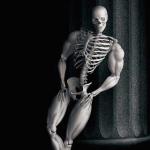 Overly Manly Skeleton