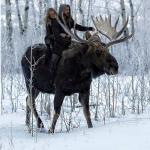 couple on moose