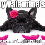 DogVday | Happy Valentine's Day; Just like the rose,  my love life is dead and cut off. | image tagged in dogvday | made w/ Imgflip meme maker