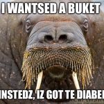 I wanted a buket, but Instedz, Iz got te Diabeetus   | I WANTSED A BUKET; BUT INSTEDZ, IZ GOT TE DIABEETUS | image tagged in i wanted a buket but instedz iz got te diabeetus  | made w/ Imgflip meme maker