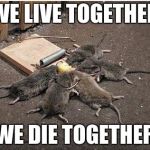 mice | WE LIVE TOGETHER; WE DIE TOGETHER | image tagged in mice | made w/ Imgflip meme maker