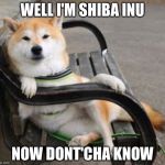 Cool shiba Inu  | WELL I'M SHIBA INU; NOW DONT'CHA KNOW | image tagged in cool shiba inu | made w/ Imgflip meme maker
