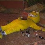 Passed out Garfield meme