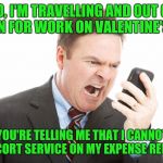 Not that I've done it, but the thought has crossed my mind! | SO, I'M TRAVELLING AND OUT OF TOWN FOR WORK ON VALENTINE'S DAY; AND YOU'RE TELLING ME THAT I CANNOT PUT AN ESCORT SERVICE ON MY EXPENSE REPORT?! | image tagged in angry businessman,escort,expense report,valentine's day | made w/ Imgflip meme maker