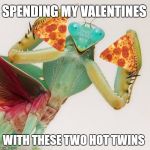 praying mantis pizza slices | SPENDING MY VALENTINES; WITH THESE TWO HOT TWINS | image tagged in lmao,funny,lol,memes,featured,valentines | made w/ Imgflip meme maker