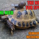 Famous Quote Weekend - Feb 17-19 | THE NEED FOR SPEED! I FEEL THE NEED; FAMOUS QUOTE WEEKEND FEB 17-19 | image tagged in snail riding turtle,famous quote weekend,feb 17-19,top gun,the need for speed,not gonna back down | made w/ Imgflip meme maker