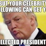 Vote for your favorite celebrity | BUT YOUR CELEBRITY FOLLOWING CAN GET YOU; ELECTED PRESIDENT | image tagged in rule thirty four,funny,trump,memes,politics | made w/ Imgflip meme maker