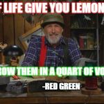 Red Green | IF LIFE GIVE YOU LEMONS; THROW THEM IN A QUART OF VODKA; -RED GREEN | image tagged in red green | made w/ Imgflip meme maker