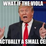 When people repeatedly joke that you play a large violin | WHAT IF THE VIOLA; IS ACTUALLY A SMALL CELLO | image tagged in what if i told you donald trump,memes,viola,music,thatbritishviolaguy,cello | made w/ Imgflip meme maker