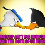 Daffy Vs. Donald for Cartoon Week...A Juicydeath1025 event. | IMGFLIP AIN'T BIG ENOUGH FOR THE BOTH OF US DUCK | image tagged in daffy vs donald,memes,cartoon,cartoon week,funny,juicydeath1025 | made w/ Imgflip meme maker