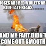 when your friends ask what you did yesterday  | ROSES ARE RED, VIOLETS ARE BLUE I ATE BEANS . . . . . . . AND MY FART DIDN'T COME OUT SMOOTH | image tagged in fart | made w/ Imgflip meme maker
