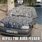 Yep | YEP; REFILL THE BIRD FEEDER | image tagged in birds | made w/ Imgflip meme maker