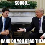 Trudeau Trump | SOOOO.... WHICH HAND DO YOU GRAB THEM WITH? | image tagged in trudeau trump | made w/ Imgflip meme maker