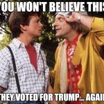 imagine… | YOU WON'T BELIEVE THIS; THEY VOTED FOR TRUMP… AGAIN | image tagged in doc brown marty mcfly,trump,imagine,funny | made w/ Imgflip meme maker