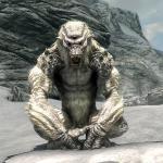 Skyrim Troll