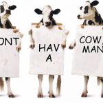 Don't have a cow man - Famous Quote Weekend - Feb 17-19 | DONT HAV     A COW, MAN | image tagged in chick-fil-a 3-cow billboard,famous quote weekend,chick-fil-a,the simpsons,bart simpson,waffle fries | made w/ Imgflip meme maker