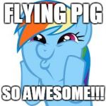 Rainbow Dash so awesome | FLYING PIG; SO AWESOME!!! | image tagged in rainbow dash so awesome | made w/ Imgflip meme maker