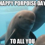 Smug Porpoise | HAPPY PORPOISE DAY; TO ALL YOU | image tagged in smug porpoise | made w/ Imgflip meme maker