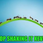 Ants have problems too... :) | STOP SHAKING IT KEVIN! | image tagged in immigrant invading ants,memes,animals,ants | made w/ Imgflip meme maker
